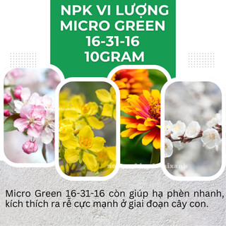 Phân Bón NPK Vi Lượng Micro Green 16-31-16 Tạo Mầm Hoa Cực Mạnh - Hũ 100gram