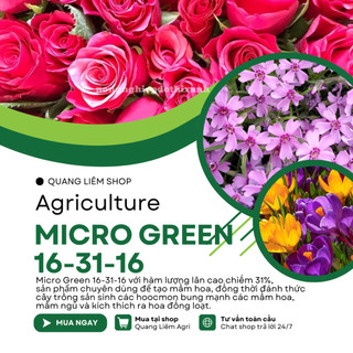 Phân Bón NPK Vi Lượng Micro Green 16-31-16 Tạo Mầm Hoa Cực Mạnh - Hũ 100gram