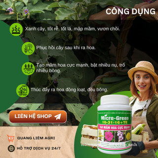 Phân Bón NPK Vi Lượng Micro Green 16-31-16 Tạo Mầm Hoa Cực Mạnh - Hũ 100gram