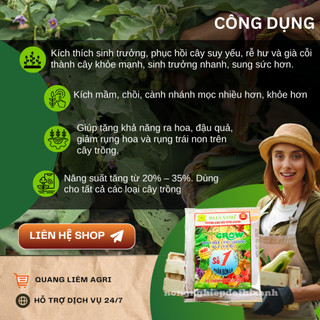 Phân Bón Lá Super Grow Số 1 Siêu Dưỡng Cây Và Dưỡng Trái (10ml) Ba Lá Xanh, kích thích sinh trưởng