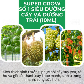 Phân Bón Lá Super Grow Số 1 Siêu Dưỡng Cây Và Dưỡng Trái (10ml) Ba Lá Xanh, kích thích sinh trưởng
