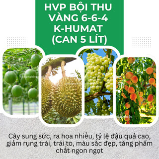 Phân bón lá HVP bội thu vàng 6-6-4 K-Humat trung vi lượng (Can 5 Lít)