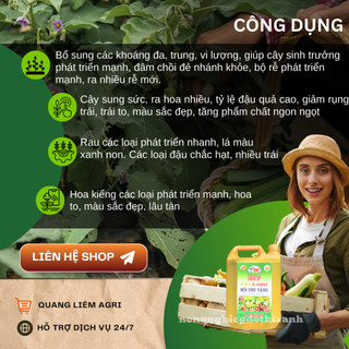 Phân bón lá HVP bội thu vàng 6-6-4 K-Humat trung vi lượng (Can 5 Lít)