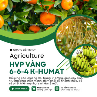 Phân bón lá HVP bội thu vàng 6-6-4 K-Humat trung vi lượng (Can 5 Lít)