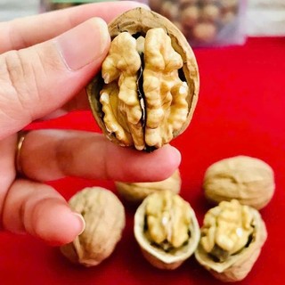 Hạt óc chó vàng nguyên vỏ sấy chín  tốt cho sức khỏe,hổ trợ bà bầu,giàu dinh dưỡng