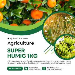 Phân Bón Tưới Gốc Hợp Trí Super Humic, tăng năng suất mà còn tiết kiệm phân bón 1KG