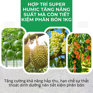 Phân Bón Tưới Gốc Hợp Trí Super Humic, tăng năng suất mà còn tiết kiệm phân bón 1KG