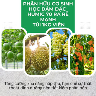 Phân Hữu Cơ Sinh Học Đậm Đặc Humic 70 Đầu Bò, Ra Rễ Mạnh, Nở Bụi, Cứng Cây - Túi 1KG Viên