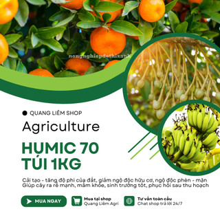 Phân Hữu Cơ Sinh Học Đậm Đặc Humic 70 Đầu Bò, Ra Rễ Mạnh, Nở Bụi, Cứng Cây - Túi 1KG Viên