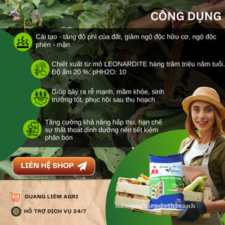 Phân Bón Kali Sinh Học Humic Diên Khánh Ra Rễ Mạnh, Nở Bụi, Cứng Cây - Túi 1KG
