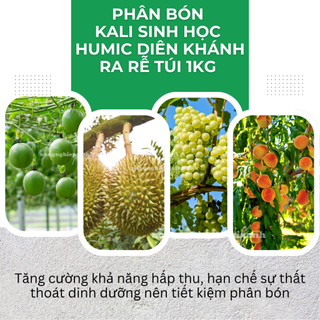 Phân Bón Kali Sinh Học Humic Diên Khánh Ra Rễ Mạnh, Nở Bụi, Cứng Cây - Túi 1KG