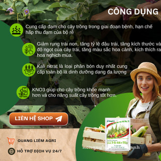 Phân Bón Lá Hỗn Hợp Hợp Trí HK NPK 7-5-44+Te Ra Hoa Sớm, Trổ Đều (250gram)