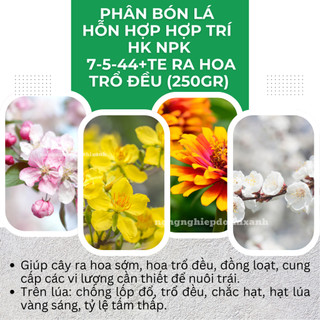 Phân Bón Lá Hỗn Hợp Hợp Trí HK NPK 7-5-44+Te Ra Hoa Sớm, Trổ Đều (250gram)