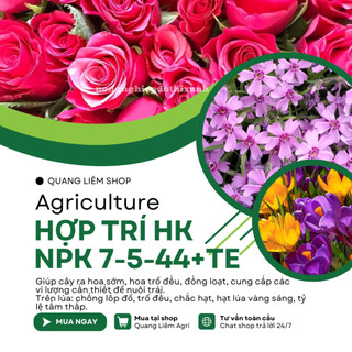Phân Bón Lá Hỗn Hợp Hợp Trí HK NPK 7-5-44+Te Ra Hoa Sớm, Trổ Đều (250gram)