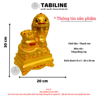 Heo đất ống tiết kiệm tiền lỗ ngang con giáp 2025 rắn tài lộc LD60 - TABILINE