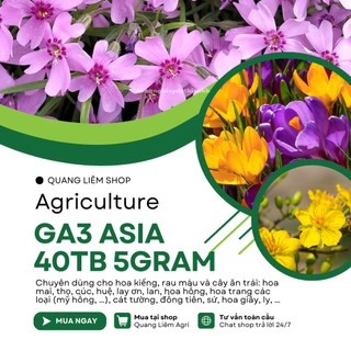 Phân Bón Lá GA3, Viên 5gram, Dạng Sủi Tiết Kiệm, Thúc Đẩy Ra Đọt, Bông Lớn, Trái To