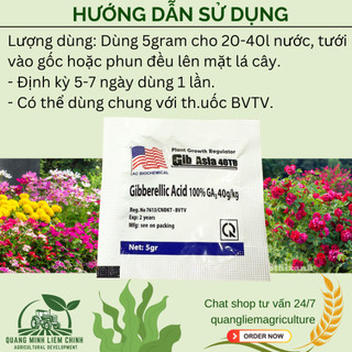 Phân Bón Lá GA3, Viên 5gram, Dạng Sủi Tiết Kiệm, Thúc Đẩy Ra Đọt, Bông Lớn, Trái To