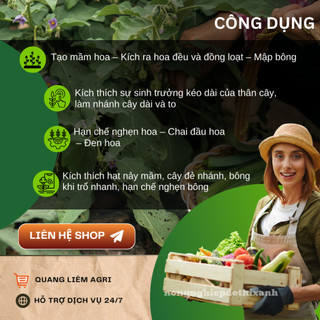 Phân Bón Lá GA3, Viên 5gram, Dạng Sủi Tiết Kiệm, Thúc Đẩy Ra Đọt, Bông Lớn, Trái To