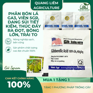 Phân Bón Lá GA3, Viên 5gram, Dạng Sủi Tiết Kiệm, Thúc Đẩy Ra Đọt, Bông Lớn, Trái To
