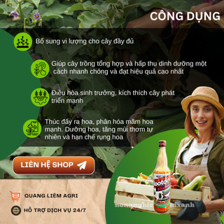 Phân bón lá vi lượng Grow More Rootone (Sữa Thái) chuyên cho phong lan - chai 725ml
