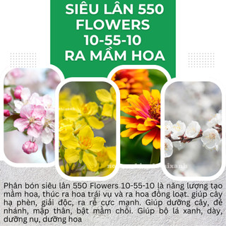 Phân bón lá Siêu lân 550 Flowers 10-55-10, thúc đẩy mầm hoa, dưỡng nụ tươi lâu (100gram)