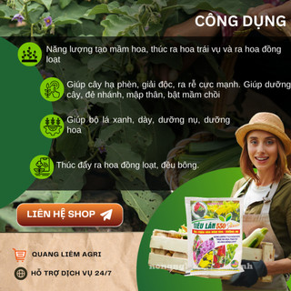 Phân bón lá Siêu lân 550 Flowers 10-55-10, thúc đẩy mầm hoa, dưỡng nụ tươi lâu (100gram)
