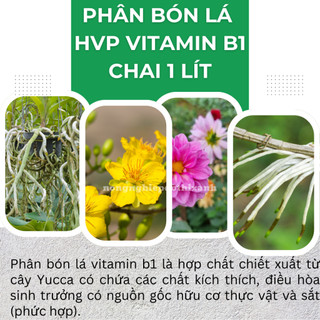Phân Bón Lá HVP Vitamin B1 đậm đặc  Cao Cấp - kích rễ bật mầm - chai 1 Lít