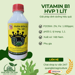 Phân Bón Lá HVP Vitamin B1 đậm đặc  Cao Cấp - kích rễ bật mầm - chai 1 Lít