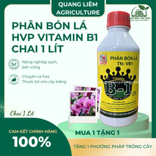 Phân Bón Lá HVP Vitamin B1 đậm đặc  Cao Cấp - kích rễ bật mầm - chai 1 Lít
