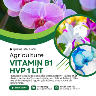 Phân Bón Lá HVP Vitamin B1 đậm đặc  Cao Cấp - kích rễ bật mầm - chai 1 Lít