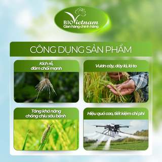 Phân bón lá hữu cơ BIO SIÊU ĐẺ NHÁNH 25gr giúp cây lúa siêu đẻ nhánh, nở bụi to, cứng cây, kích rễ phát triển