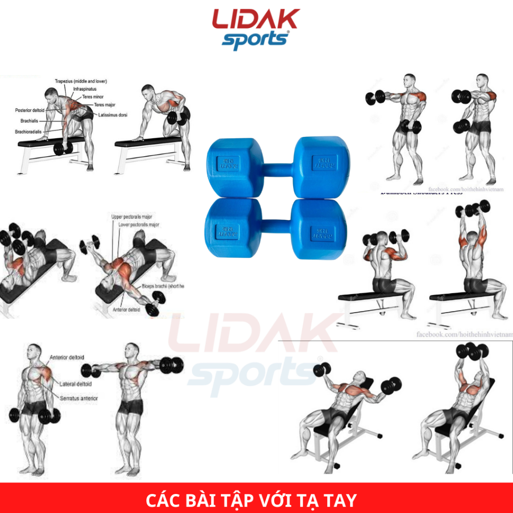 Ảnh Tạ tay 7kg bát giác ruột tạ có lõi thép chống gãy dành cho tập gym tại nhà giá rẻ  - LIDAK SPORT 3