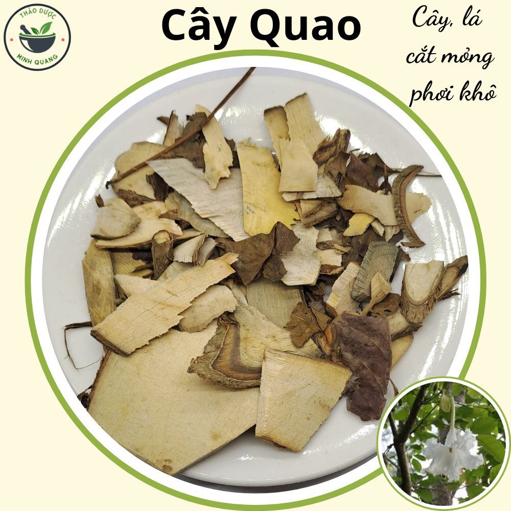 Cây quao (quao nước), túi 500g và 1kg cây lá cắt mỏng phơi khô, hàng ...