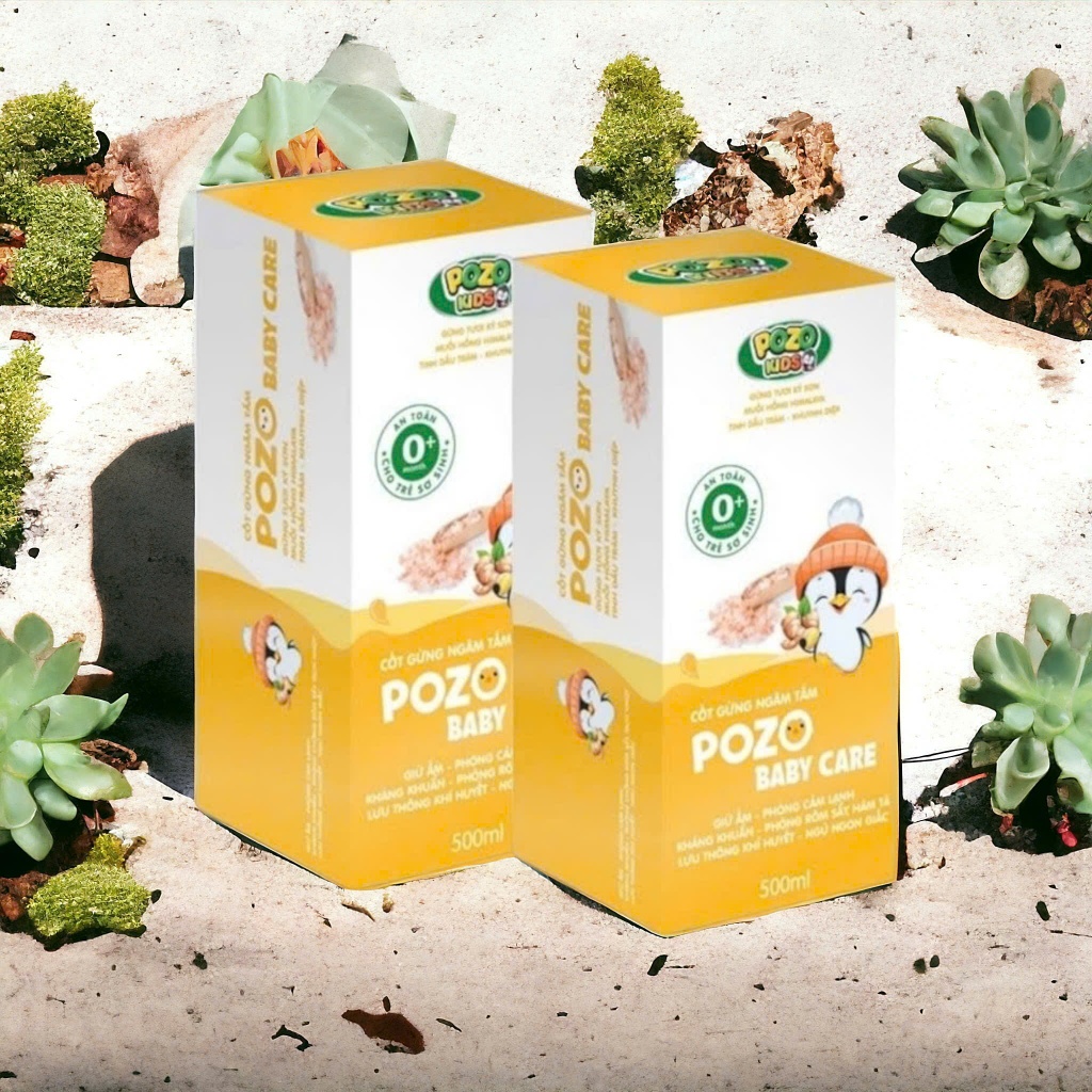 Ảnh Nước Cốt Gừng Pozokid Giữ Ấm Cho Bé COMBO 2 HỘP TIẾT KIỆM 3