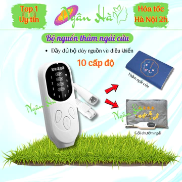 Điều khiển thảm ngải cứu, gối ngải cứu 10 cấp độ, Phụ kiện dây nguồn thảm ngải cứu, gối ngải