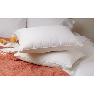 Ruột Gối Nằm Bông Gòn Trắng cao cap 40x60cm