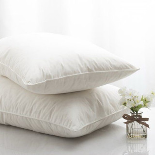Ruột Gối Nằm Bông Gòn Trắng cao cap 40x60cm