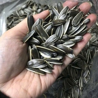 Combo 2 gói x 55g-Hạt hướng dương vị dừa bùi bùi,béo nguậyđem lại nhiều lợi ích cho sức khỏe,chất béo,chất khoáng.