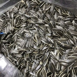 Combo 2 gói x 55g-Hạt hướng dương vị dừa bùi bùi,béo nguậyđem lại nhiều lợi ích cho sức khỏe,chất béo,chất khoáng.