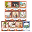 Sách - Combo 10 Cuốn Truyện Cổ Tích Việt Nam - Song Ngữ Việt Anh