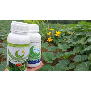 Combo 2 can 5L cho cây ra hoa nhiều đậu trái,chống rụng cho rau ăn trái cà chua, ớt, đậu leo, bầu bí