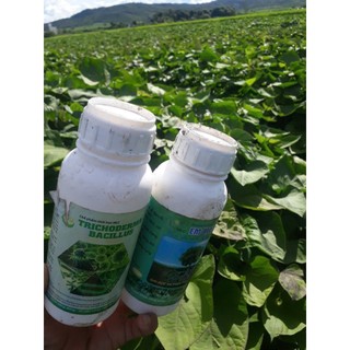 Combo 2 chai 500ml trichoderma và em root phòng héo xanh, thối rễ, kích rễ, dưỡng rễ, bén rễ nhanh