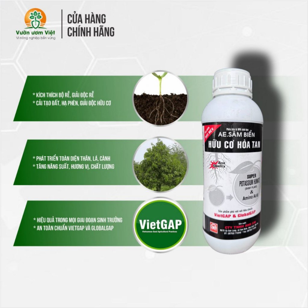 Phân bón SÂM BIỂN - thành phần sinh học, chuẩn Vietgap, cây xanh tốt tự nhiên, khỏe mạnh bền vững