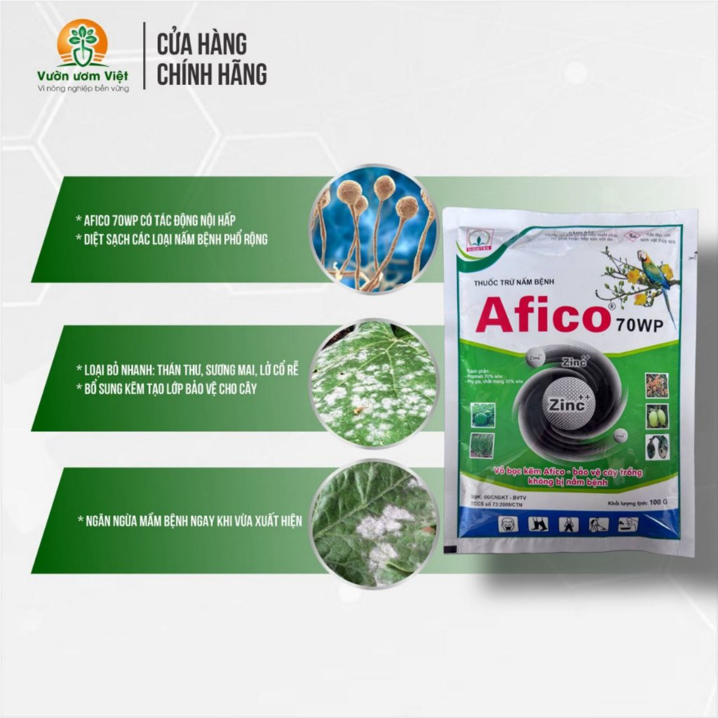 Thuốc trừ bệnh AFICO 70WP chuyên trị sương mai, phấn trắng, bổ sung Kẽm bảo vệ cây mạnh mẽ - 100gr