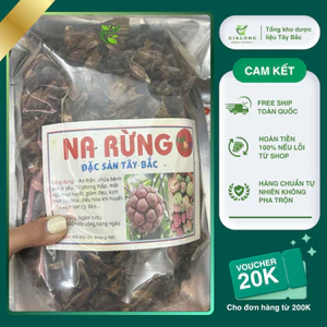 Na rừng Khô Tây Bắc chín (chí chuôn chua) size to