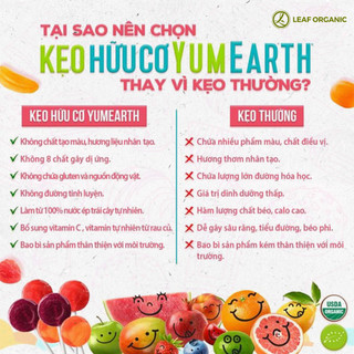 Kẹo mút hữu cơ hương vị trái cây Yumearth 14 chiếc