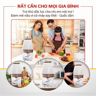 Máy xay thịt đá đa năng 750ml nắp đồng, 300W, xay thực phẩm, cá, tỏi ớt