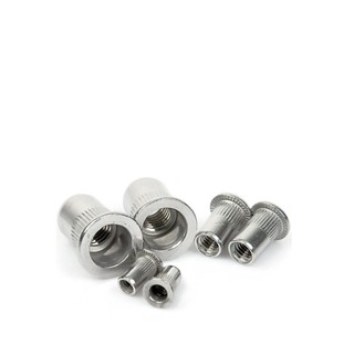 10 cái Ốc tán rút, ecu rút M3-M12 inox304