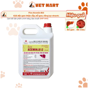 Five-Acemin.B12 Oral Giải độc gan-thận cấp, bổ gan, tăng lực nhanh.