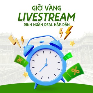 Nhang Nụ Khuynh Diệp Huế Xưa, nhang dùng để lọc không khí, đuổi côn trùng, thơm thanh mát, hộp 41 nụ